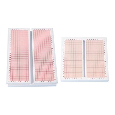 Butterfly Spreading Wing Board Display Board for Home Learning Lesson Indoor