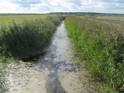 Photo A3 Bedling Hope Sewer - looking westwards Fairfield/TQ9626 As see c2010