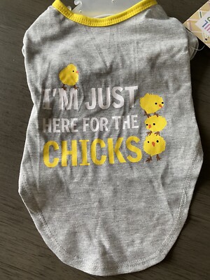 EASTER T-Shirt ''I'M JUST HERE FOR THE CHICKS'' Gray Yellow Trim Puppy/Dog MED NWT