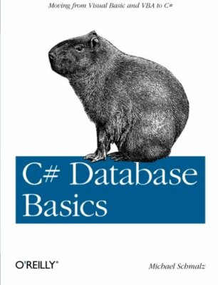 C# Database Basics by Schmalz  New 9781449309985 Fast Free Shipping+=