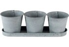 3 Galvanised Flower Pots & Tray