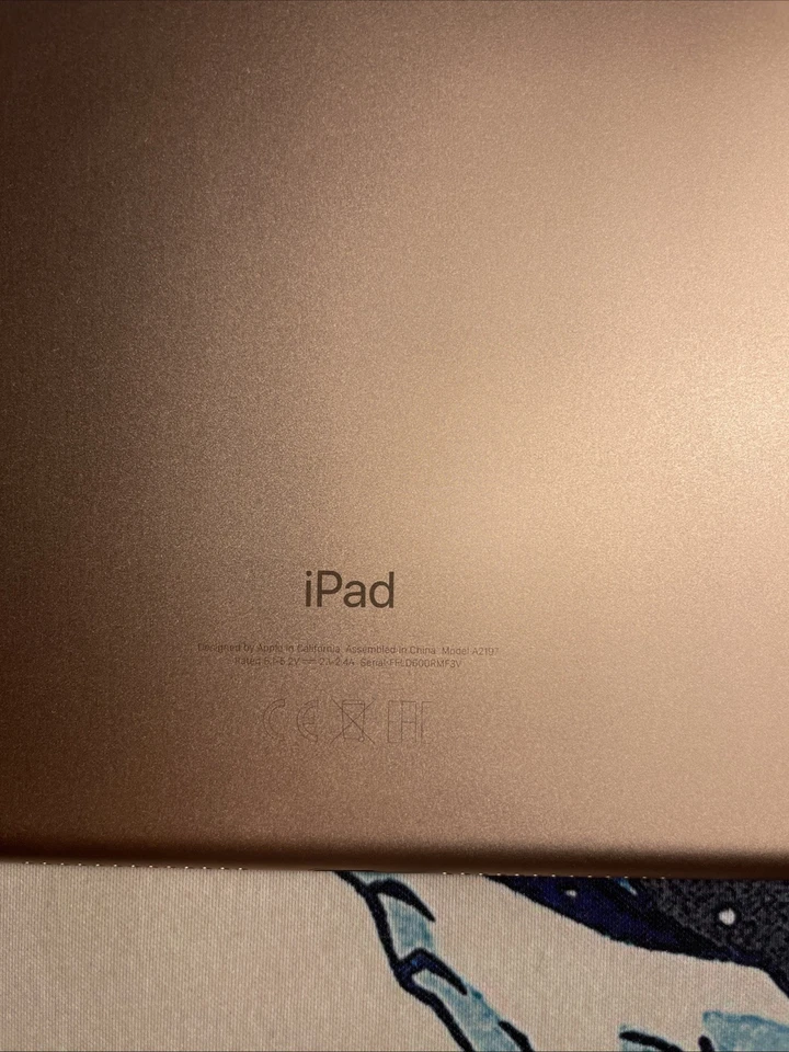 Apple iPad 7 Generation Wi-Fi 32GB A2197 - Immagine 4 di 4