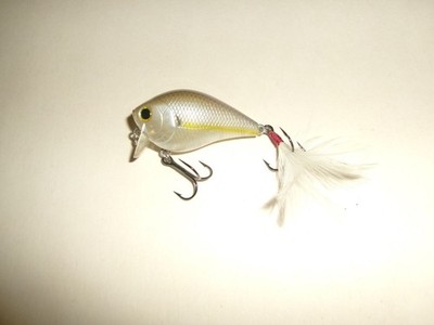 Lucky Craft G.D.S. Mini SSR Wake Bait Lure - Used