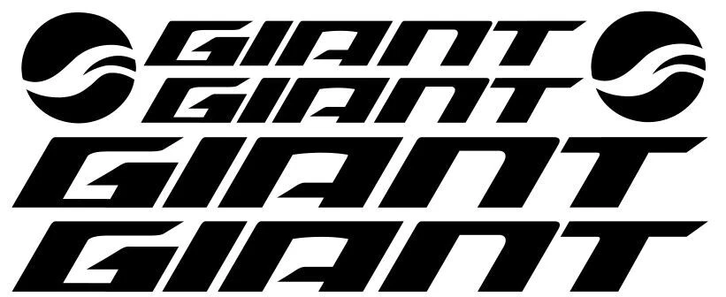 GIANT ver10 aufkleber sticker fahrrad bicycle