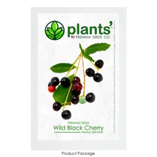 Wild Black Cherry | Premium Seeds | Prunus serotina 'Fruit' | Plants'®