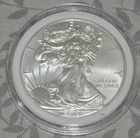 2012 $1 American Silver Eagle 1 oz .999 Fine Silver BU Coin