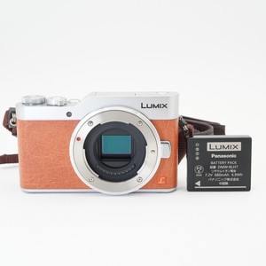 GF 9 Panasonic | eBay