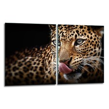 Herdabdeckplatten 2x40x52 Ceranfeld 2-Teilig Glas Spritzschutz Tiger