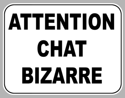 ATTENTION CAT WEIRD HUMOR FUNNY 12X9cm STICKER STICKER AA171
