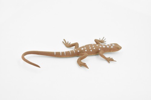 Desert Iguana, Lizard, Toy, Realistic, Figurine, Model   5" F6101 B381 - Picture 6 of 8