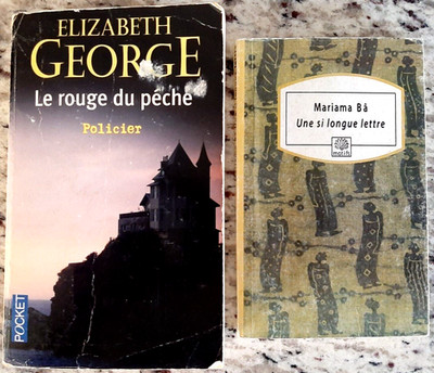 FRENCH PAPERBACK BOOK LOT ~ ELIZABETH GEORGE DU PECHE & MARIAMA BA LONGUE LETTRE