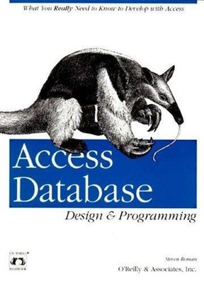 Access Database Design and Programming : What You Really Need to