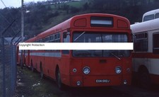 London Transport Bus Photograph SMS 582 EGN 582J Ulsterbus Northern Ireland 7239