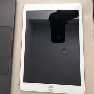 Apple iPad Series Apple iPad Gold Tablet Touchscreen Device