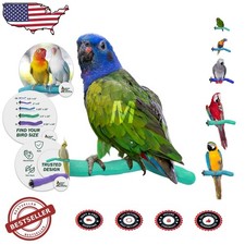 Pumice Bird Perch Medium 12" Green Safe Nail Trimming Healthy Feet