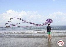 Large Kite Octopus Frameless Soft Parafoil Kites For Kids And Adults Beach Park