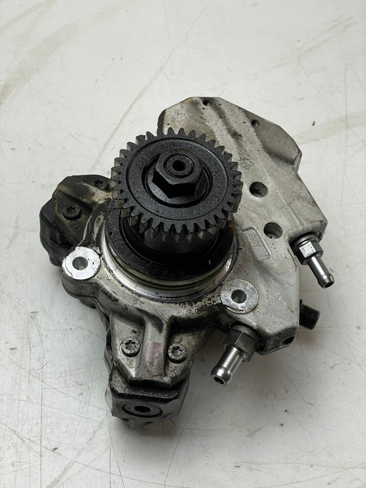 Rags McGREGORSTUDS LONG BELT ラグスマックレガー