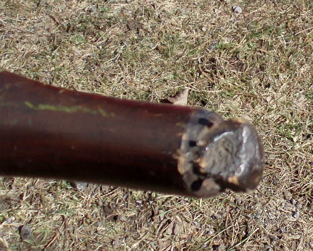 Picture 15 of 24