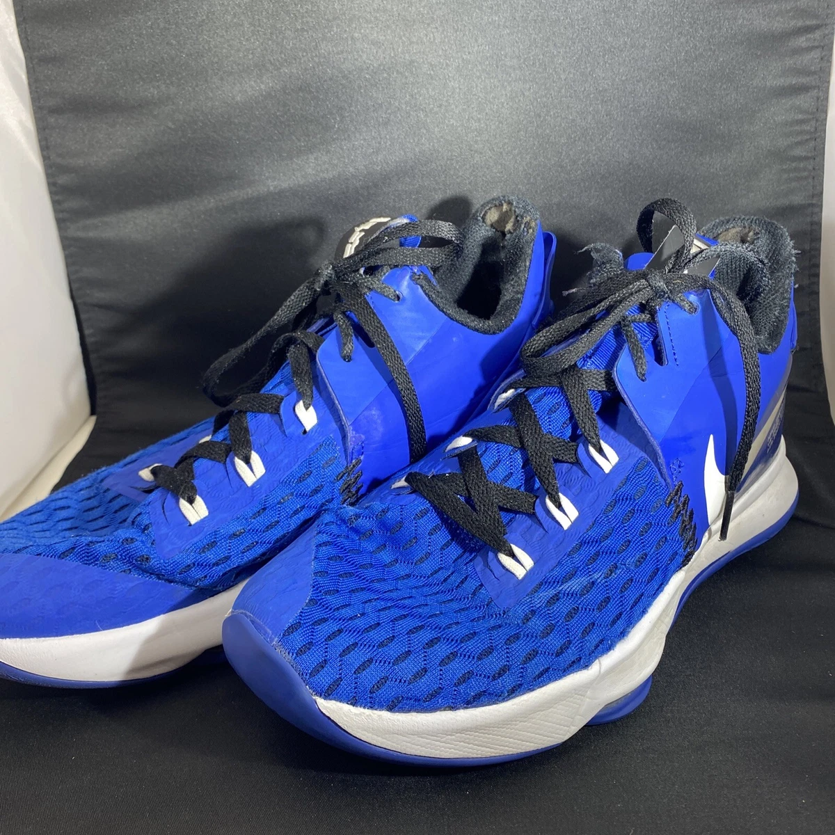 Nike Lebron Witness V Game Royal Blue White Basketball CQ9380 400 Men s 9