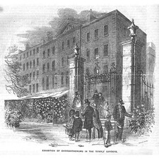 LONDON Ausstellung von Chrysanthemen im Tempelgarten - antiker Druck 1855