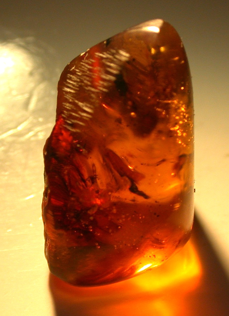 2 Mites with Wasp in Burmese Burmite Amber Fossil from Dinosaur Age