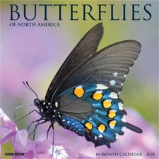 Butterflies 2026 12 X 12 Wall Calendar (Bookbook - Detail Unspecified)