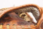 Picture 4 of 13
