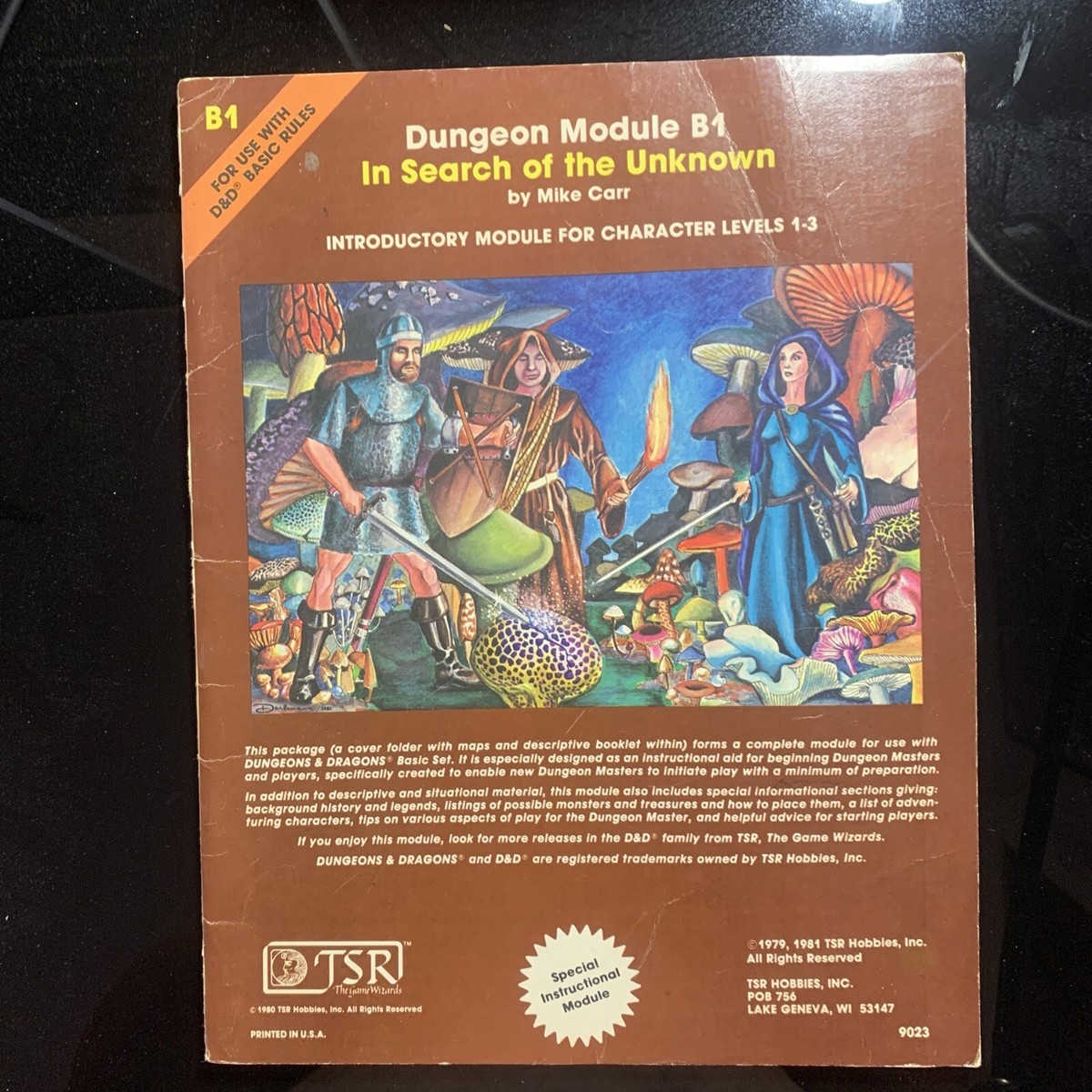1st Edition Dungeons & Dragons Module B1 In Search of the Unknown