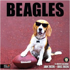 Beagles 2026 Wall Calendar 12 Month  12" X 24" Open  Thick  Sturdy Paper  Gi
