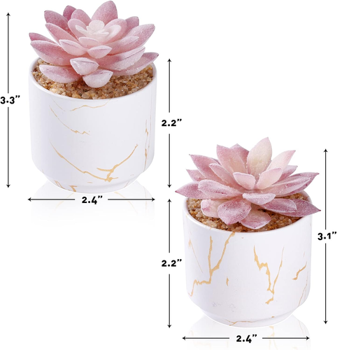 Artificial Plants and Succulents in 2 White Ceramic Pots,Small Fake Plants for O - Picture 4 of 12