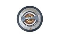 NRF 725205 Thermostat, KüHlmittel FüR Alfa Romeo Cadillac Chevrolet