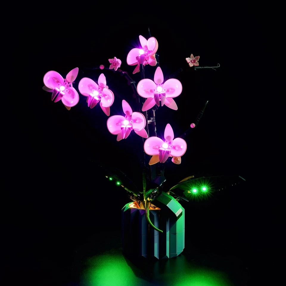 Juego de luces LED para LEGO 10311 Creator Orchid hágalo usted mismo lámpara decorativa (sin modelo) Foto 2 de 4