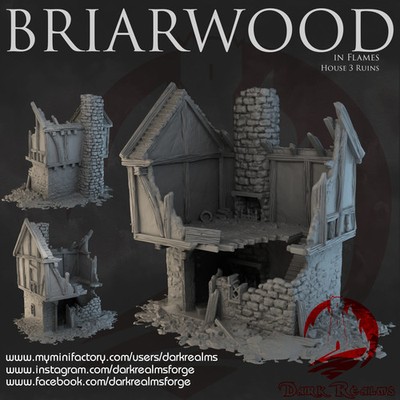 House 3 Ruins - Briarwood - Dark Realms Terrain Wargaming D&D DnD