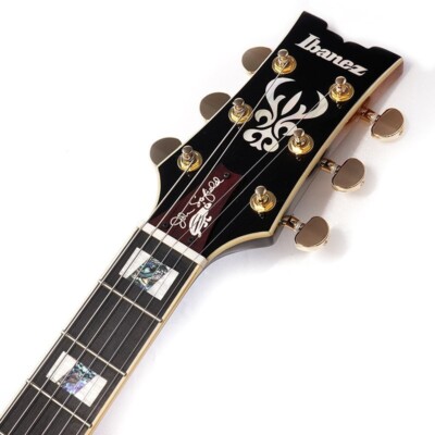 ギター Ibanez JSM10 VYS John Scofield Ibanez John Scofield Signature JSM10 - Vintage Yellow