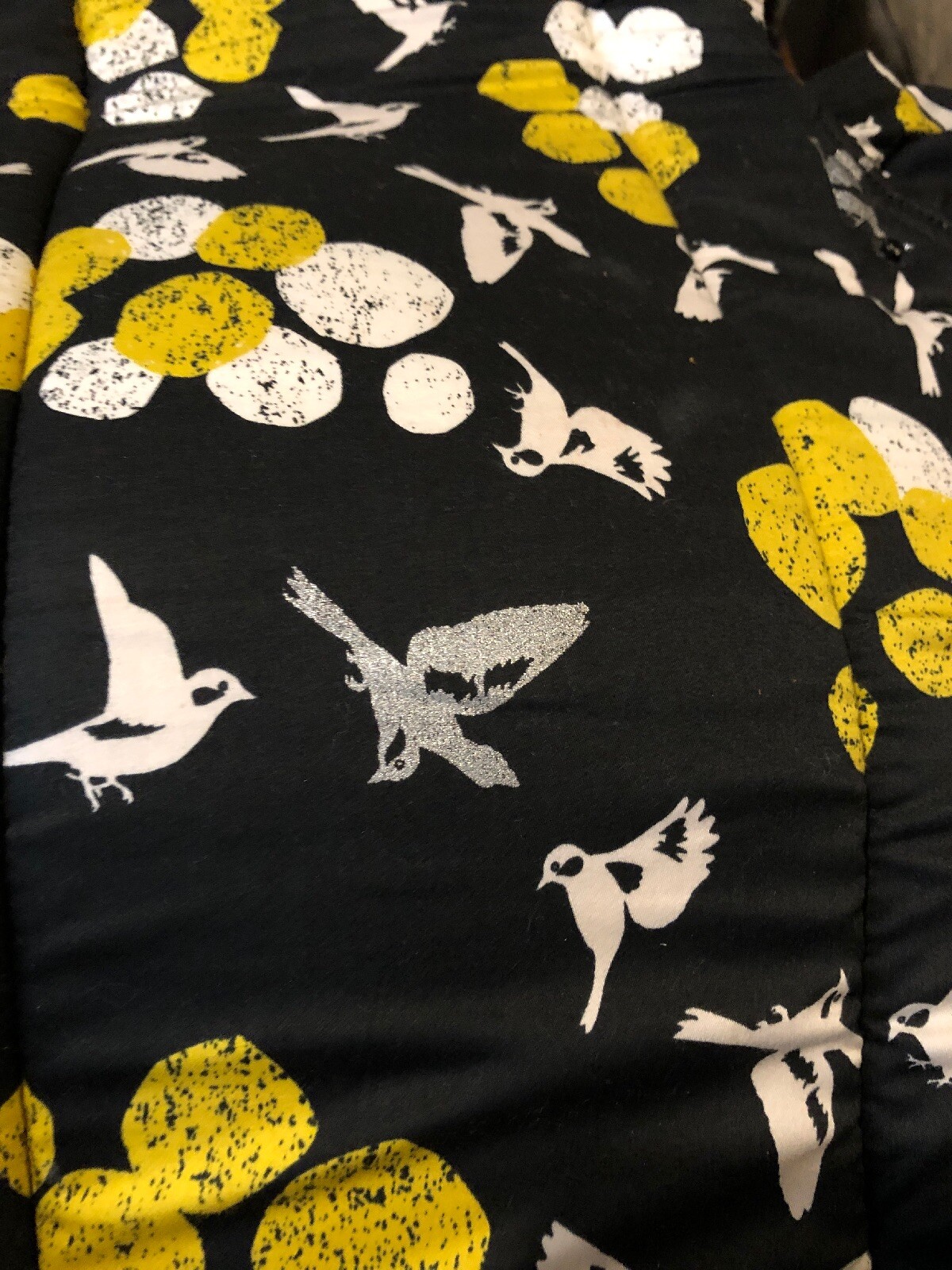 beco gemini birdsong