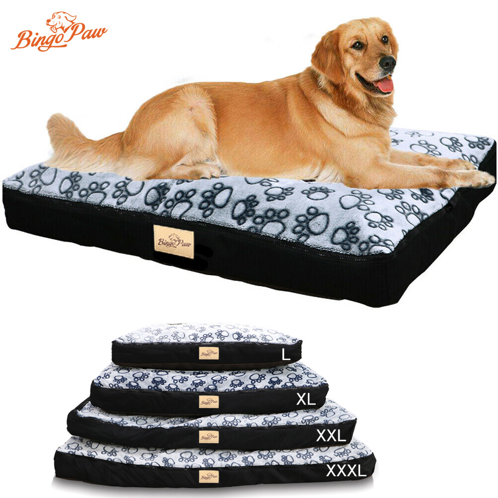 Jumbo Murphy Dog Bed 2025