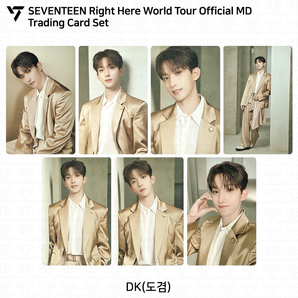 SEVENTEEN Right Here World Tour Official MD Trading Card Set
