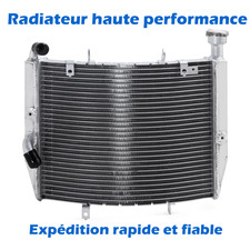 Radiateur Triumph TR