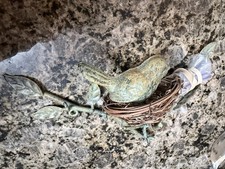Metal Bird on Branch Wall Mounted Figurine wi...