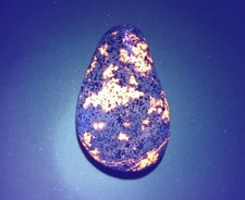 Fluorescent Sodalite Yooperlite - 3.1 oz.  A Bright Lake Superior Yooperlite