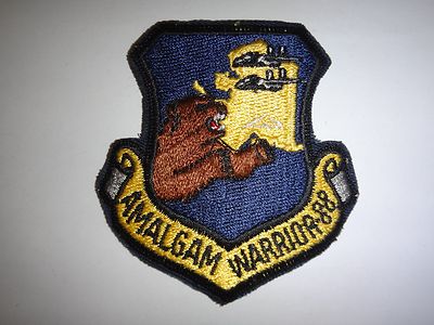 US Air Force Amalgam Warriors 88 Patch