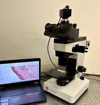 Leitz Leica Labovert Inverted Microscope