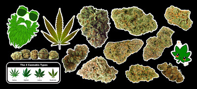 Weed Marijuana Cannabis Vinyl Sticker Bud Pack #2 | eBay