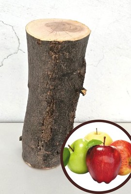 8 1/2'' APPLE WOOD LOG ~3''D STRAIGHT CHUNK PILLAR Carving Blank Crafts Live Edge