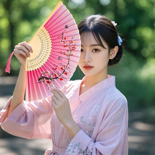 Drfeify Ventilateur à main pliant chinois arts martiaux traditionnels