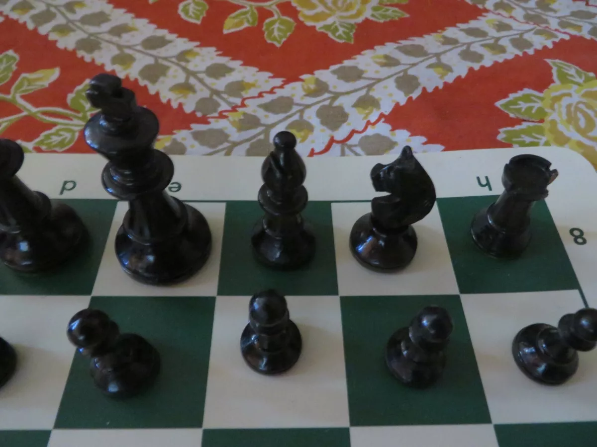 Small Exclusive Analysis Chess Set with Case