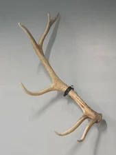 Elk Shed Mounting Clamp (Black)