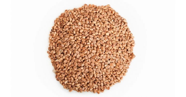 CHIRONJI SEEDS CHAROLI SEEDS Buchanania lanzan seed 100gm | eBay