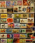 USA United States Stamp Used ( Lot of #339)Old Stamps off paper US Collection