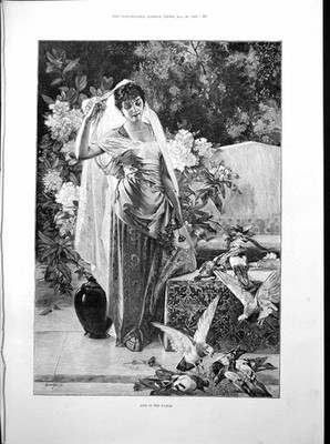 Old Life Harem Lady Pigeons Lord A Campbell Kate Macdonald Harp 1893 Victorian